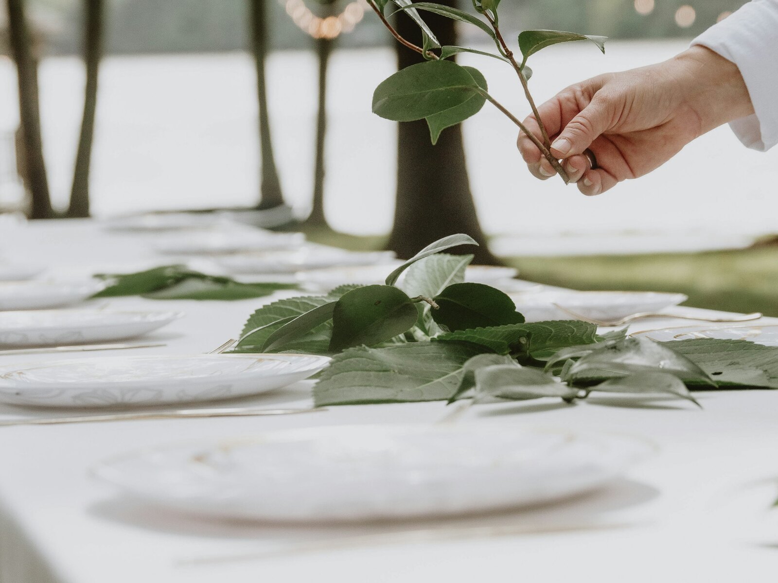 Tables dressed in ivory and greenery